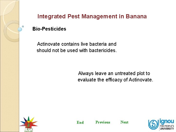 Integrated Pest Management in Banana Bio-Pesticides Actinovate contains live bacteria and should not be