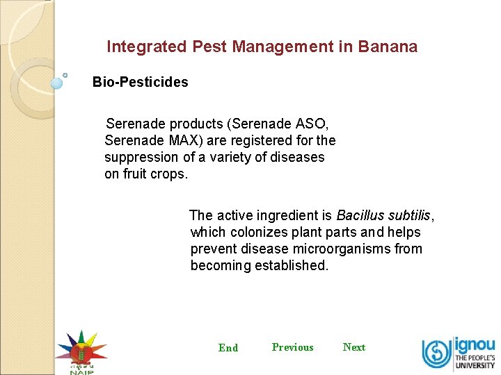 Integrated Pest Management in Banana Bio-Pesticides Serenade products (Serenade ASO, Serenade MAX) are registered