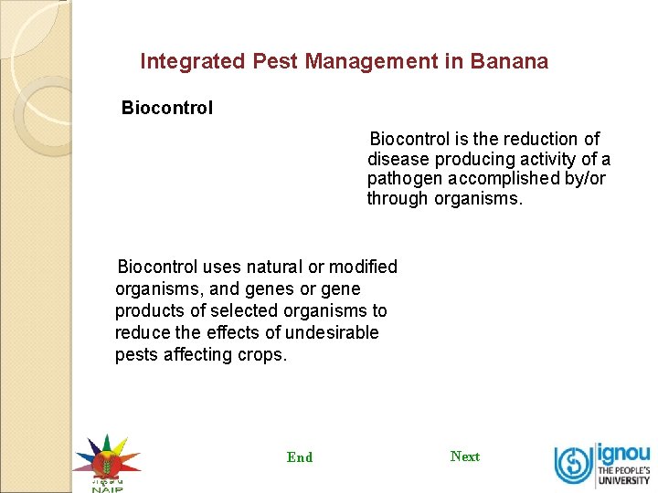 Integrated Pest Management in Banana Biocontrol is the reduction of disease producing activity of