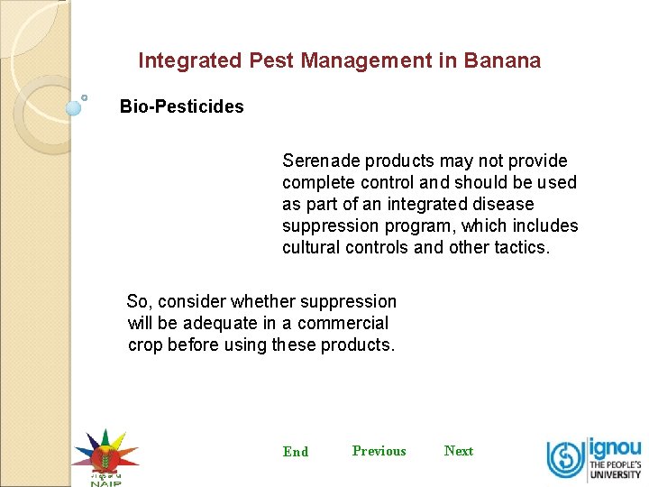 Integrated Pest Management in Banana Bio-Pesticides Serenade products may not provide complete control and