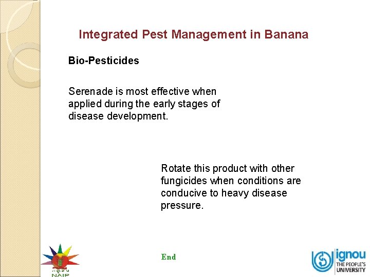 Integrated Pest Management in Banana Bio-Pesticides Serenade is most effective when applied during the