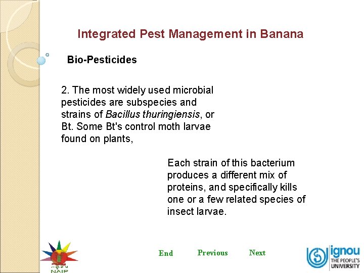 Integrated Pest Management in Banana Bio-Pesticides 2. The most widely used microbial pesticides are