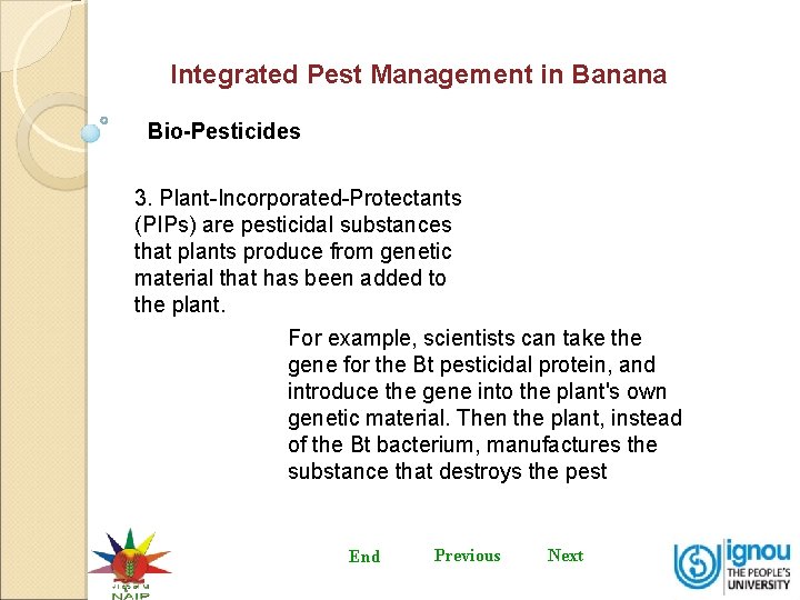 Integrated Pest Management in Banana Bio-Pesticides 3. Plant-Incorporated-Protectants (PIPs) are pesticidal substances that plants