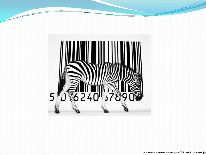 http: //www. neatorama. com/images/2005 -11/zebra-barcode. jpg 