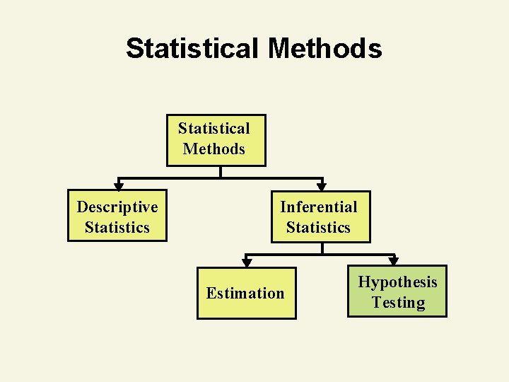 Statistical Methods Descriptive Statistics Inferential Statistics Estimation Hypothesis Testing 