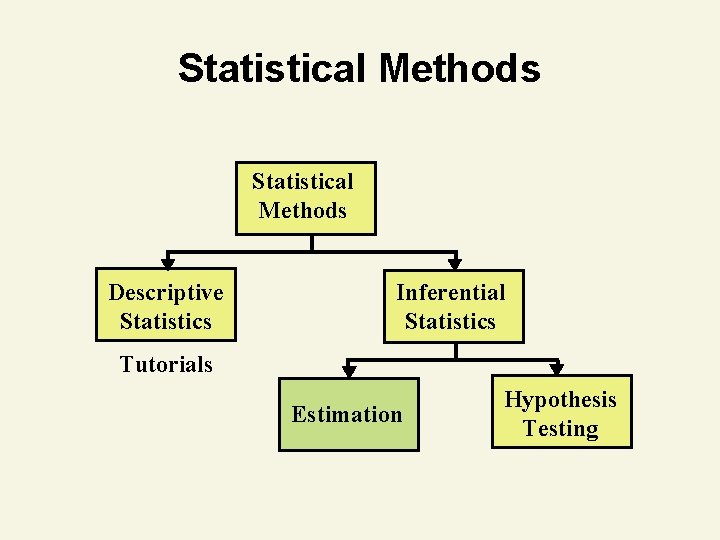 Statistical Methods Descriptive Statistics Inferential Statistics Tutorials Estimation Hypothesis Testing 