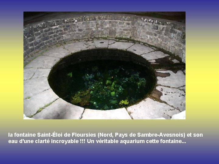 la fontaine Saint-Éloi de Floursies (Nord, Pays de Sambre-Avesnois) et son eau d'une clarté