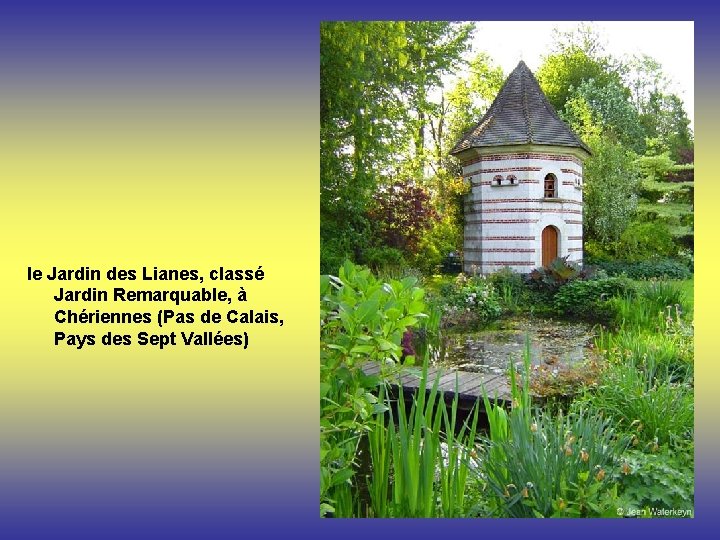 le Jardin des Lianes, classé Jardin Remarquable, à Chériennes (Pas de Calais, Pays des