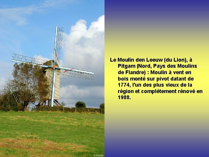 Le Moulin den Leeuw (du Lion), à Pitgam (Nord, Pays des Moulins de Flandre)