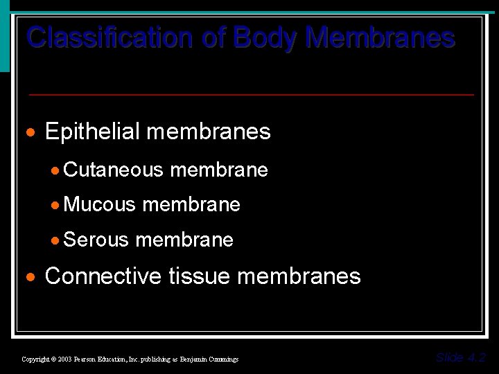 Classification of Body Membranes · Epithelial membranes · Cutaneous membrane · Mucous membrane ·