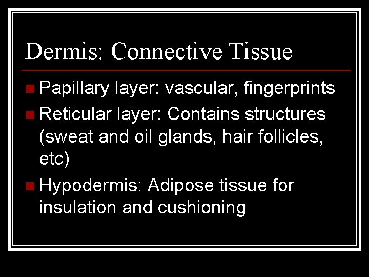 Dermis: Connective Tissue n Papillary layer: vascular, fingerprints n Reticular layer: Contains structures (sweat