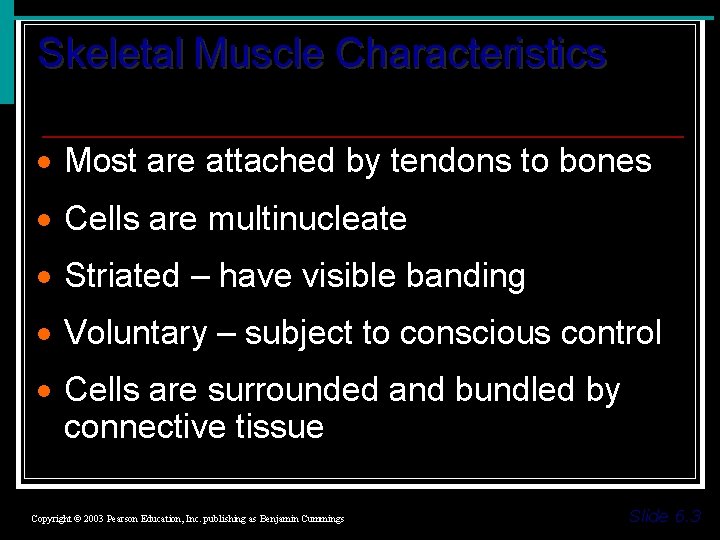 Skeletal Muscle Characteristics · Most are attached by tendons to bones · Cells are