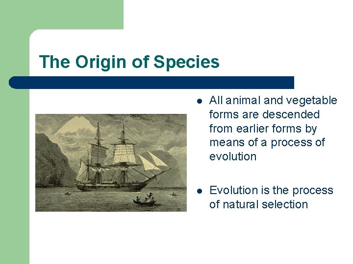 The Origin of Species l All animal and vegetable forms are descended from earlier