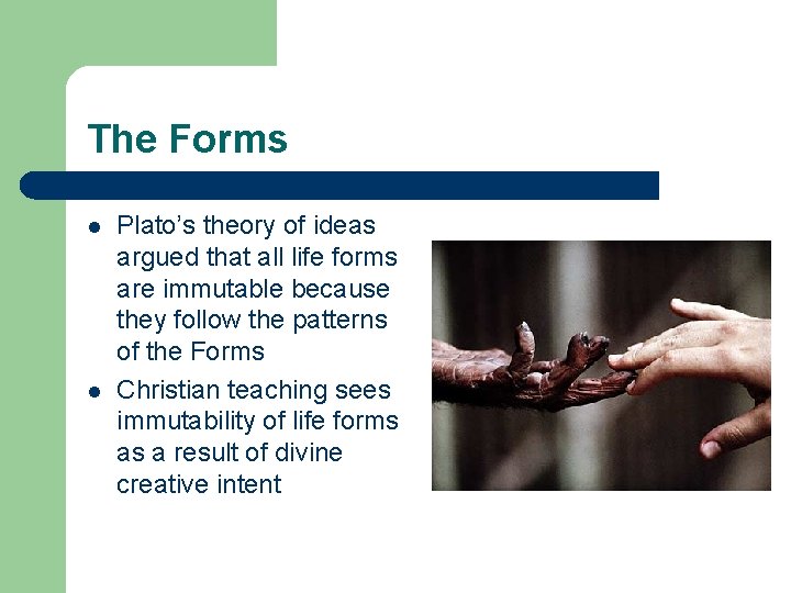 The Forms l l Plato’s theory of ideas argued that all life forms are