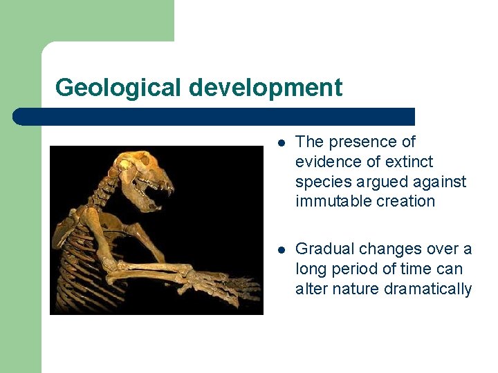 Geological development l The presence of evidence of extinct species argued against immutable creation