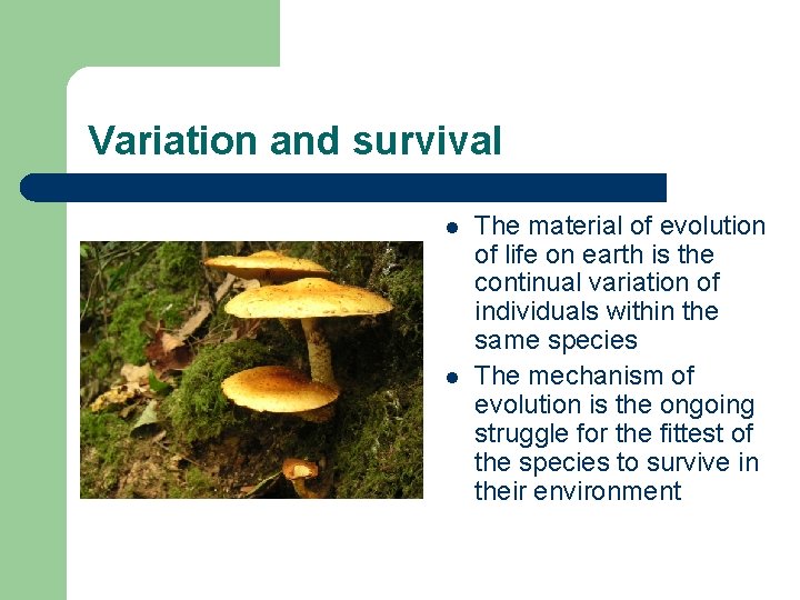 Variation and survival l l The material of evolution of life on earth is