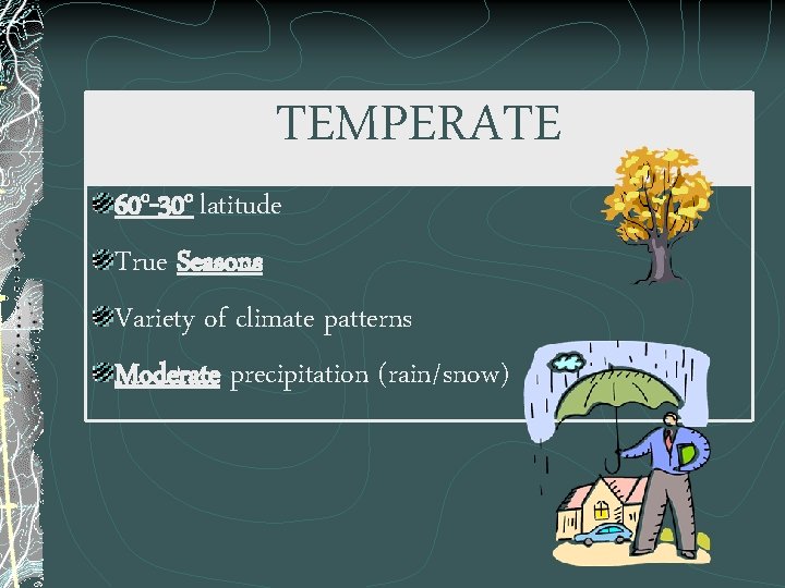 TEMPERATE 60 o-30 o latitude True Seasons Variety of climate patterns Moderate precipitation (rain/snow)
