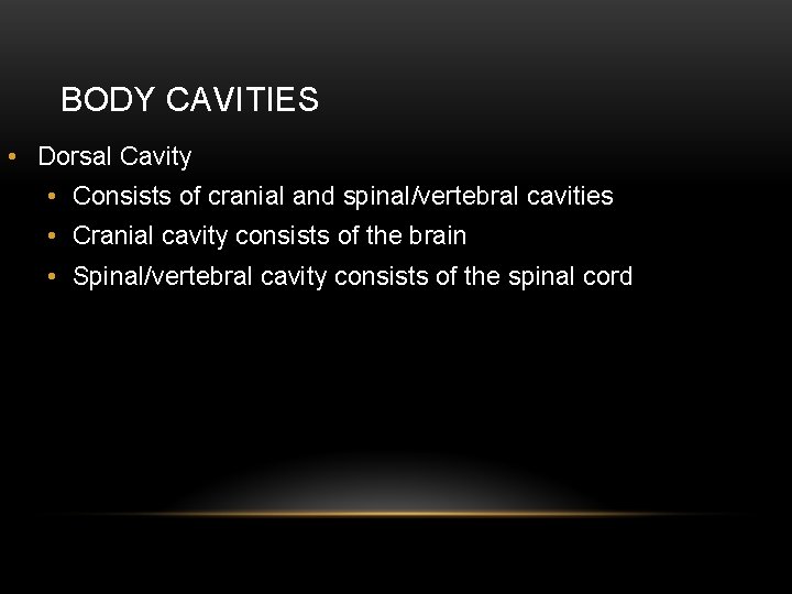 BODY CAVITIES • Dorsal Cavity • Consists of cranial and spinal/vertebral cavities • Cranial