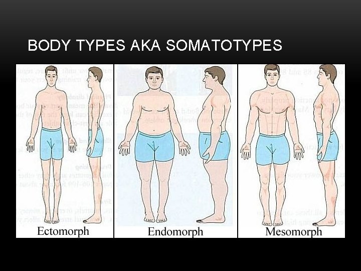 BODY TYPES AKA SOMATOTYPES 