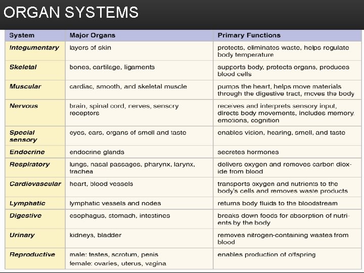 ORGAN SYSTEMS 