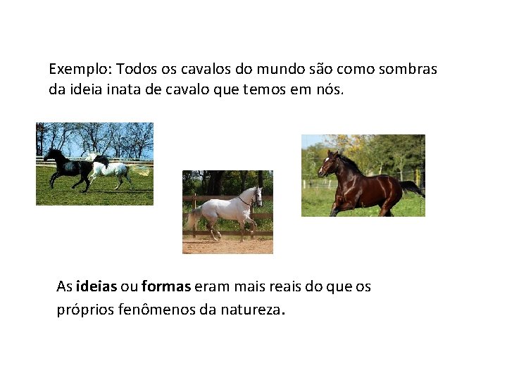 Exemplo: Todos os cavalos do mundo são como sombras da ideia inata de cavalo