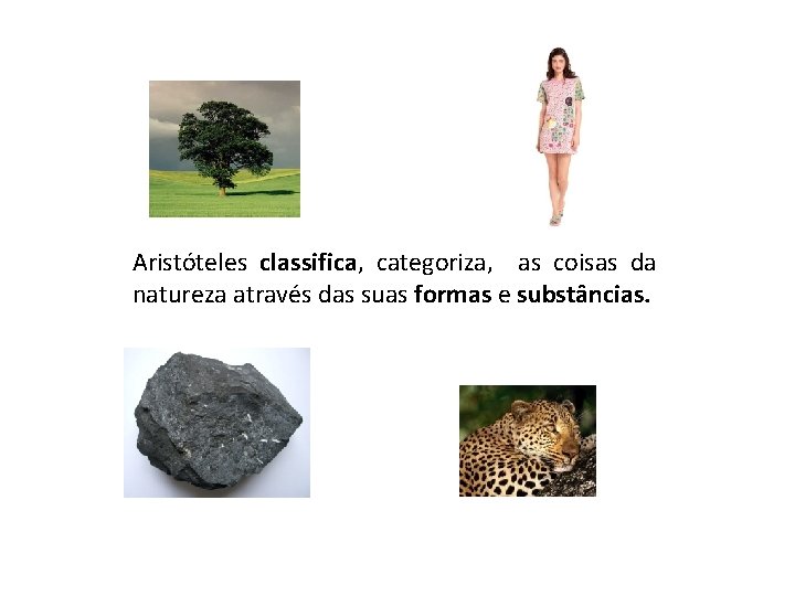 Aristóteles classifica, categoriza, as coisas da natureza através das suas formas e substâncias. 