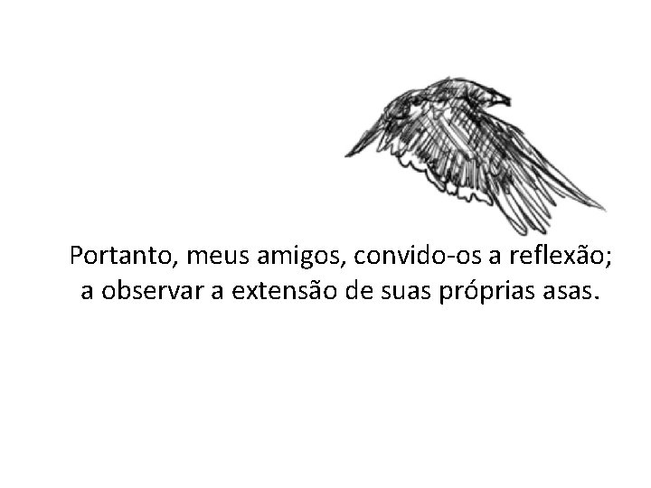 Portanto, meus amigos, convido-os a reflexão; a observar a extensão de suas próprias asas. Portanto, meus amigos, convido-os a reflexão; a observar a extensão de suas próprias asas.