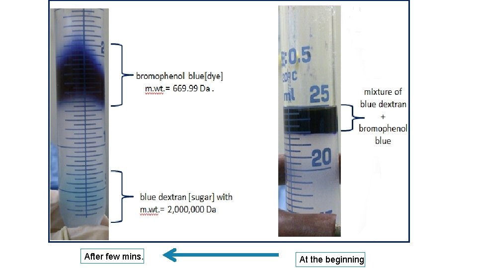 GEL FILTRATION CHROMATOGRAPHY OBJECTIVES 1 The objective of