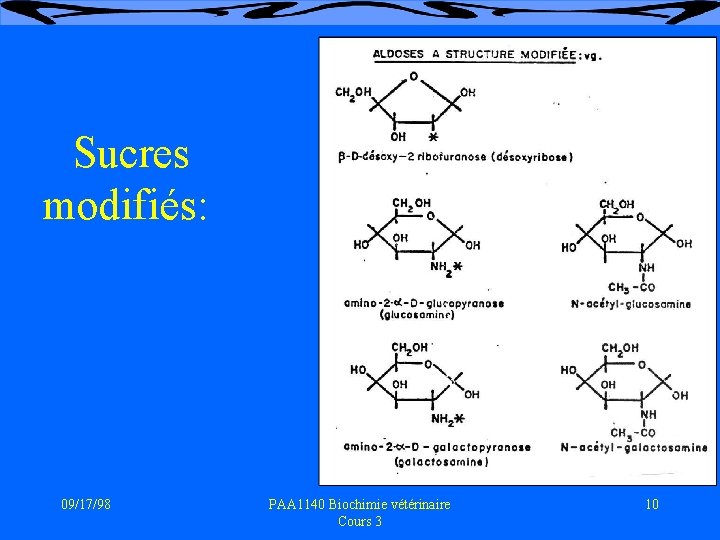 Sucres modifiés: 09/17/98 PAA 1140 Biochimie vétérinaire Cours 3 10 