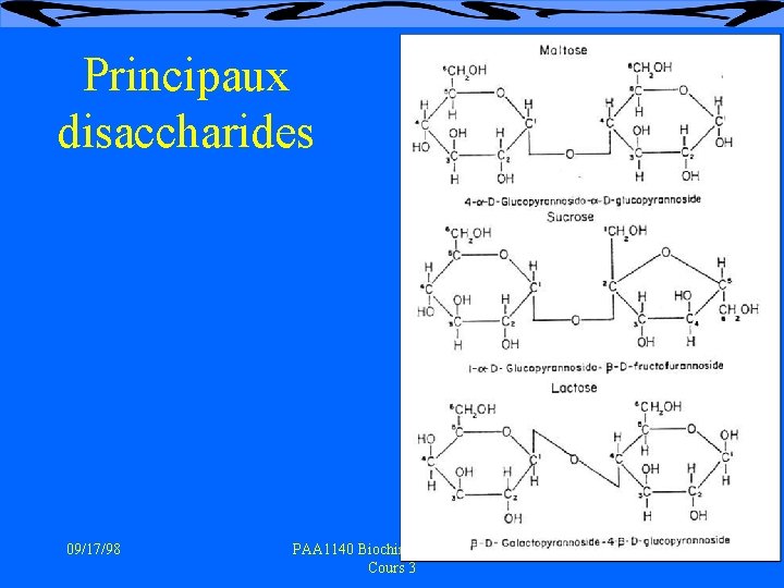 Principaux disaccharides 09/17/98 PAA 1140 Biochimie vétérinaire Cours 3 8 