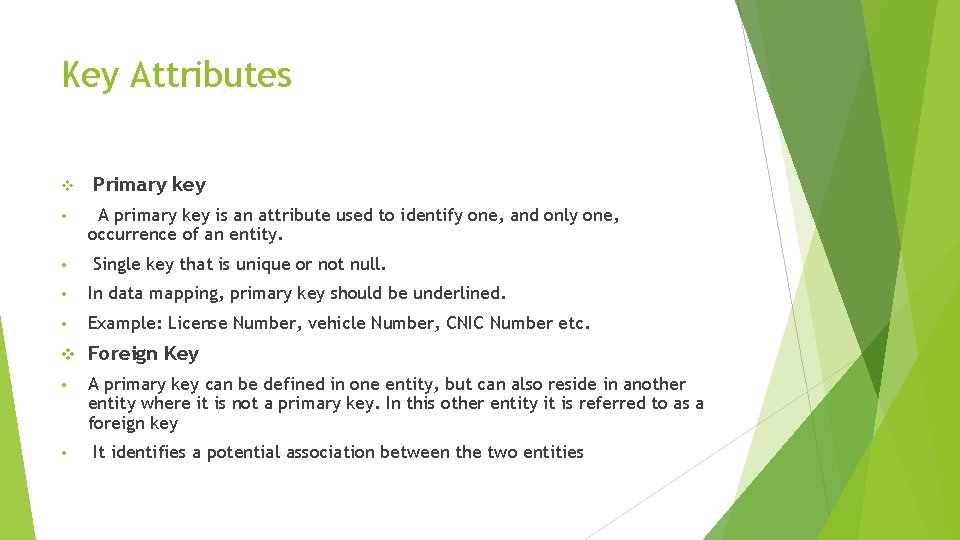 Key Attributes v • • Primary key A primary key is an attribute used