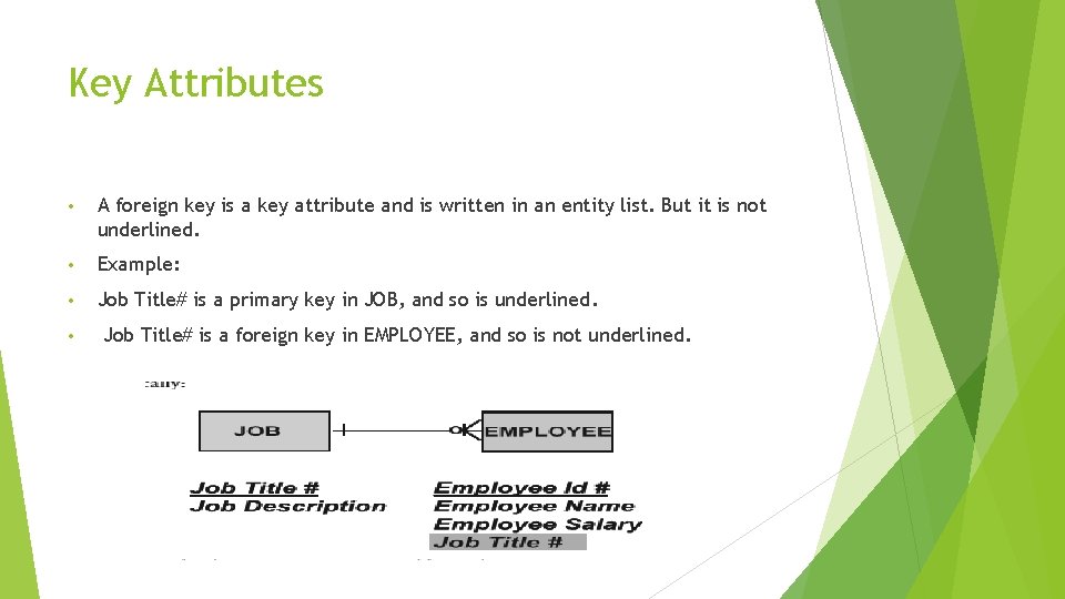 Key Attributes • A foreign key is a key attribute and is written in