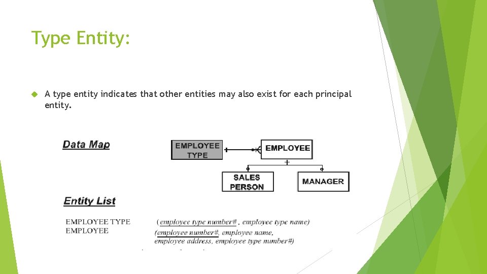Type Entity: A type entity indicates that other entities may also exist for each