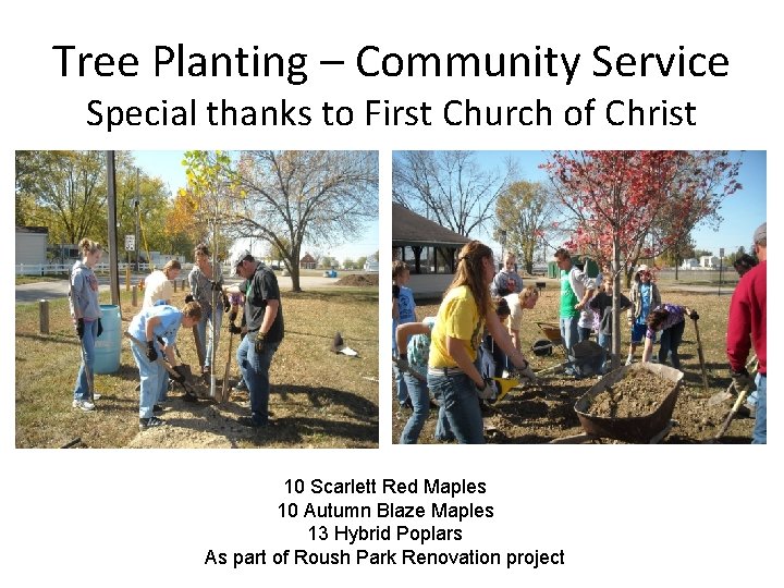 Tree Planting – Community Service Special thanks to First Church of Christ 10 Scarlett
