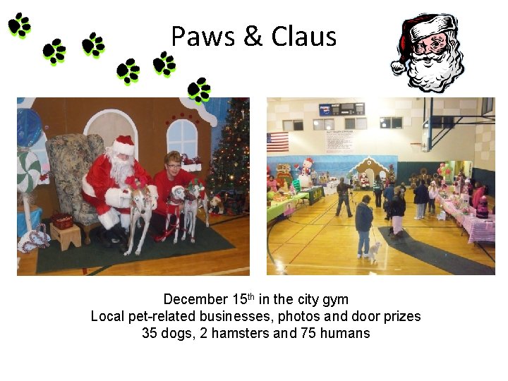 Paws & Claus December 15 th in the city gym Local pet-related businesses, photos