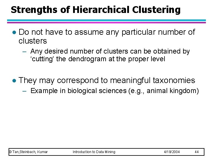 Strengths of Hierarchical Clustering l Do not have to assume any particular number of