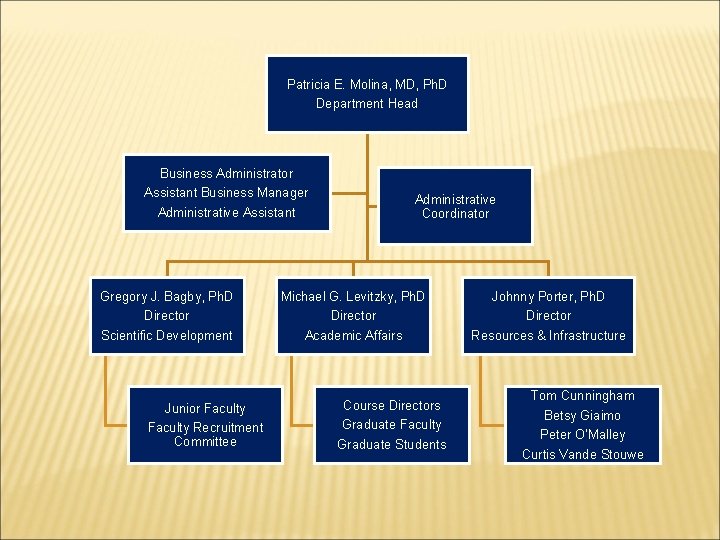 Patricia E. Molina, MD, Ph. D Department Head Business Administrator Assistant Business Manager Administrative