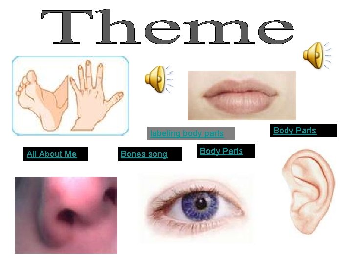 labeling body parts All About Me Bones song Body Parts 