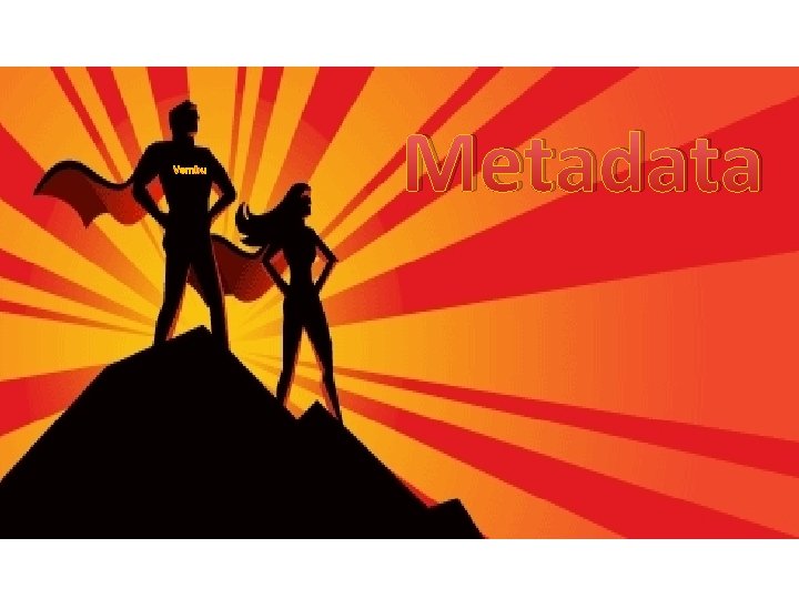 Vembu Metadata 