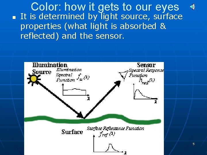 Color: how it gets to our eyes n It is determined by light source,