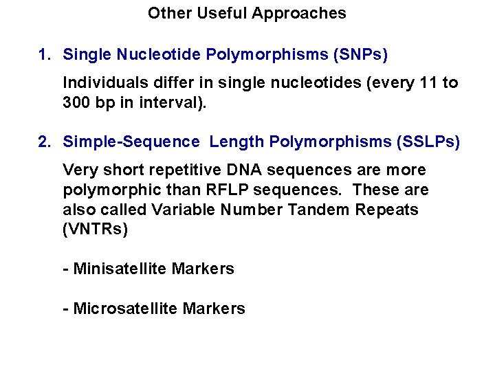 Other Useful Approaches 1. Single Nucleotide Polymorphisms (SNPs) Individuals differ in single nucleotides (every
