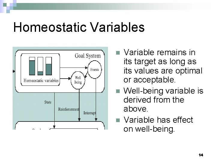 Homeostatic Variables n n n Variable remains in its target as long as its