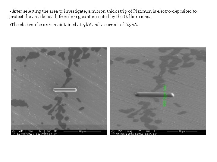  • After selecting the area to investigate, a micron thick strip of Platinum