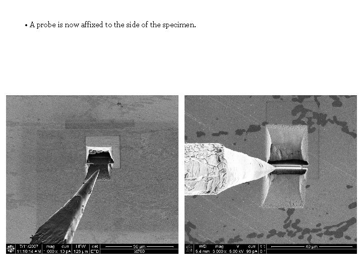  • A probe is now affixed to the side of the specimen. 