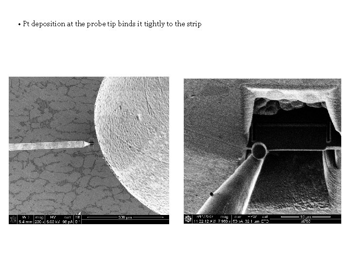  • Pt deposition at the probe tip binds it tightly to the strip