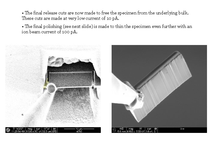  • The final release cuts are now made to free the specimen from