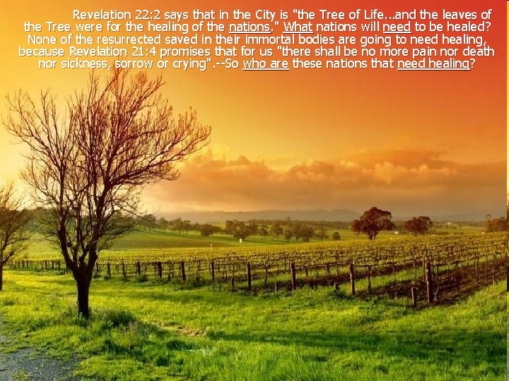 Revelation 22: 2 says that in the City is "the Tree of Life. .