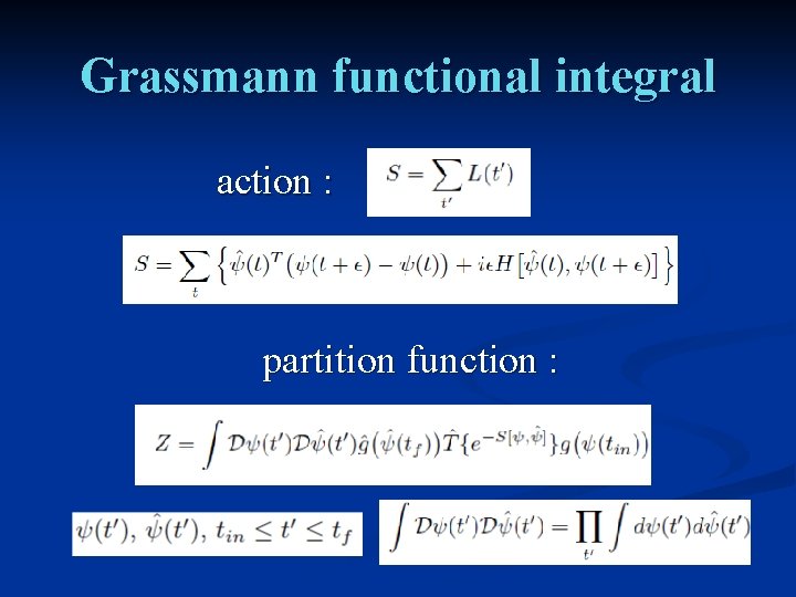 Grassmann functional integral action : partition function : 