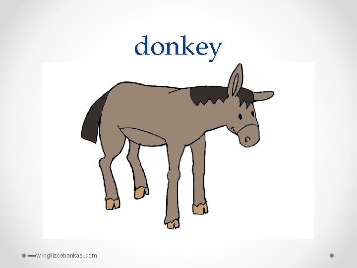 donkey www. ingilizcebankasi. com 