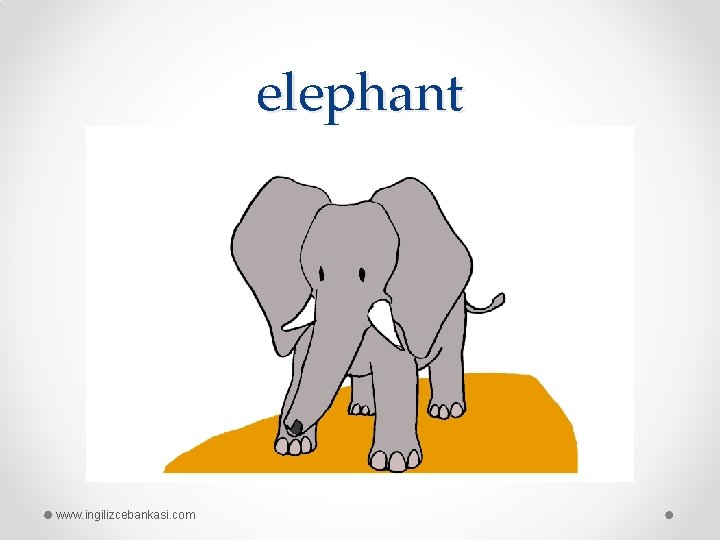 elephant www. ingilizcebankasi. com 